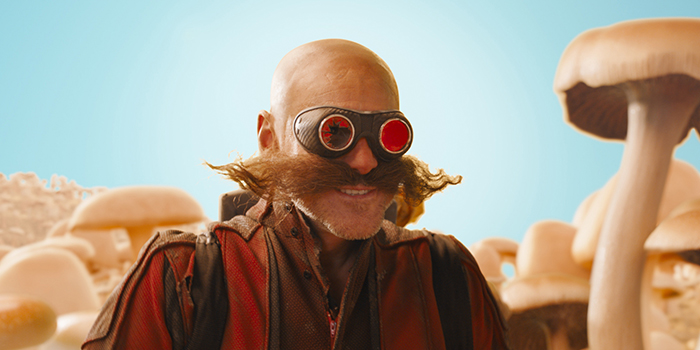 Dr. Eggman op Mushroom Hill Zone